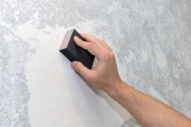 Best Emergency Mold Remediation  in Lebanon Junction, KY
