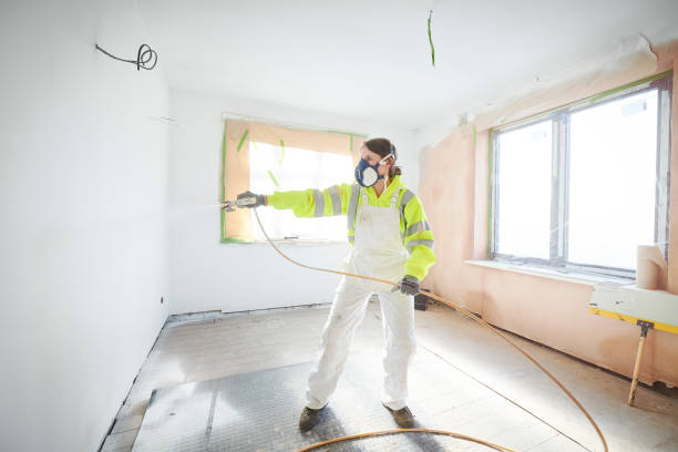 Best Mold Damage Restoration  in Lebanon Junction, KY