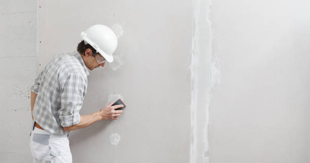 Professional Mold Removal in Lebanon Junction, KY