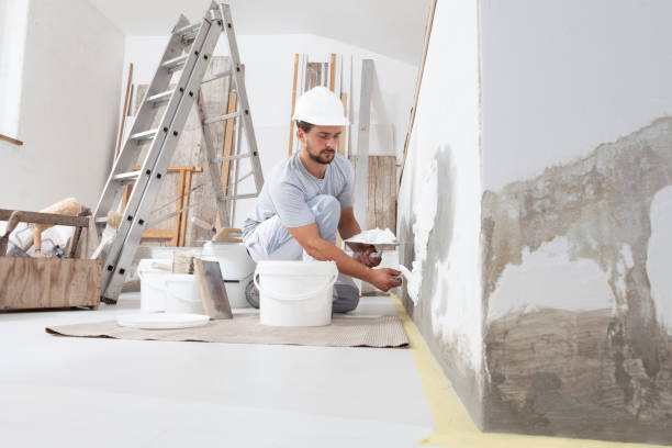 Best Water Damage & Mold Remediation  in Lebanon Junction, KY
