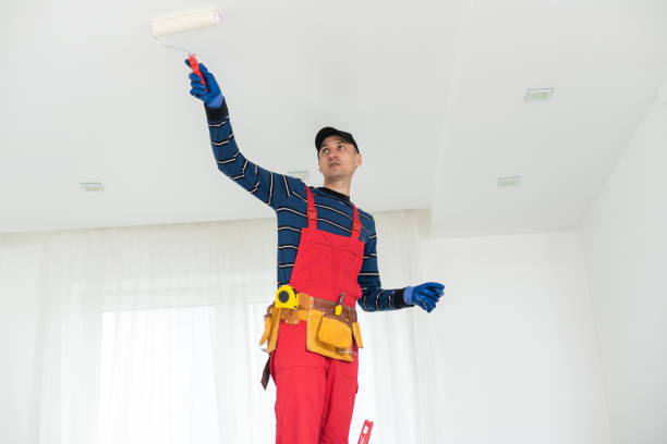 Best Post-Construction Mold Inspection  in Lebanon Junction, KY