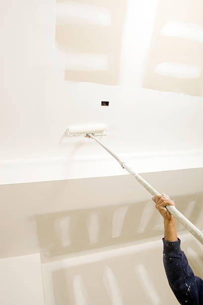 Environmental Consulting for Mold Prevention in Lebanon Junction, KY