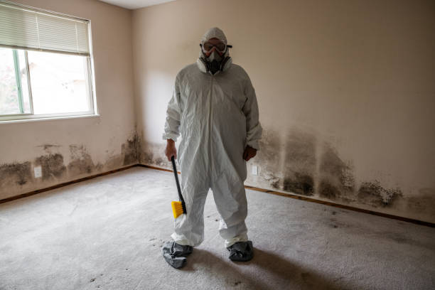Best Biohazard Mold Removal  in Lebanon Junction, KY