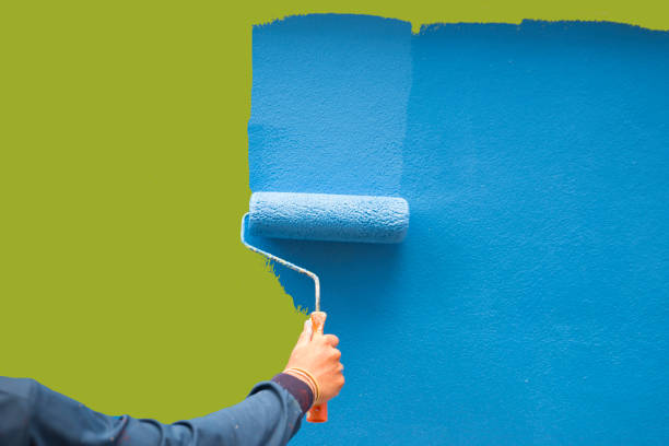 Best Black Mold Removal  in Lebanon Junction, KY
