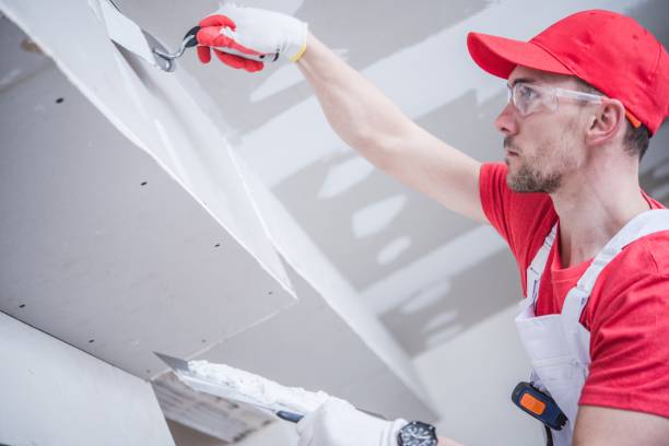 Best Mold Remediation for Healthcare Facilities  in Lebanon Junction, KY